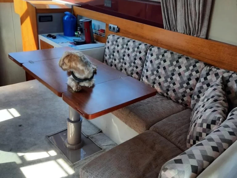 Motorboat hire in Pula - Riva rivarama 44