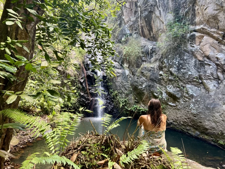 Charter a Pogo Structures Pogo 12.50 in Hiva-Oa on Samboat