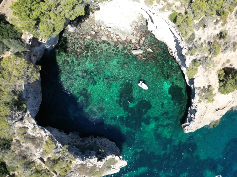 Hire RIB with or without skipper Protender Cala Figuera