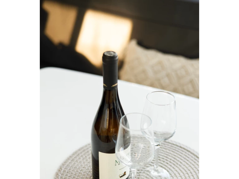 Hire Catamaran Lagoon with a boat licence