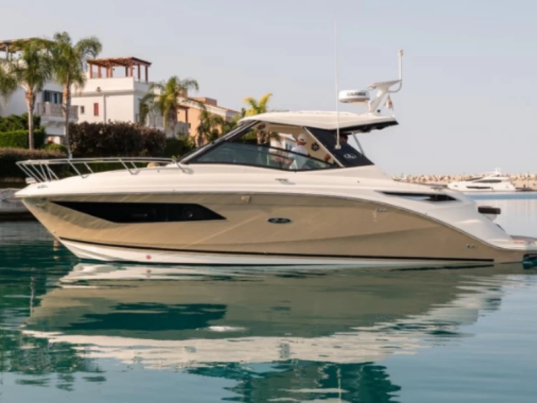 Hire Motorboat Sea Ray with a boat licence