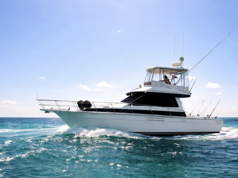 Charter a Custom Custom in Bávaro on Samboat