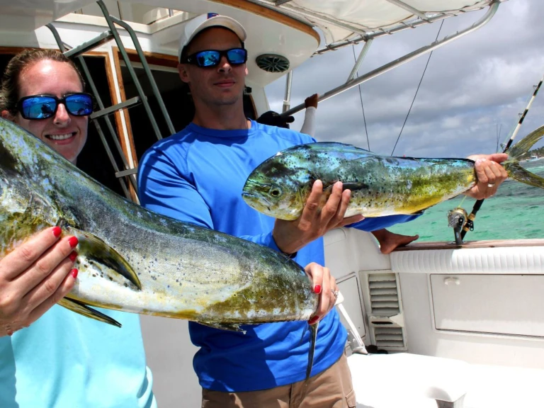Hire Motorboat with or without skipper Custom Bávaro