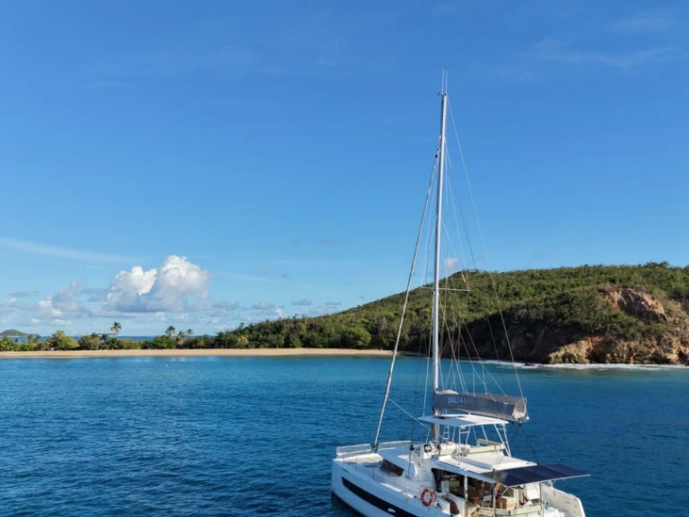 Catamaran hire in Le Marin - Bali Bali 4.6