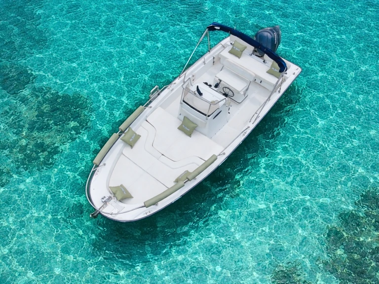 Hire Motorboat with or without skipper Boston Whaler La Spezia
