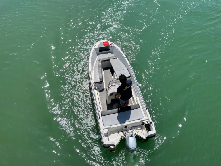 Motorboat hire in La Baule-Escoublac - Terhi 445 C