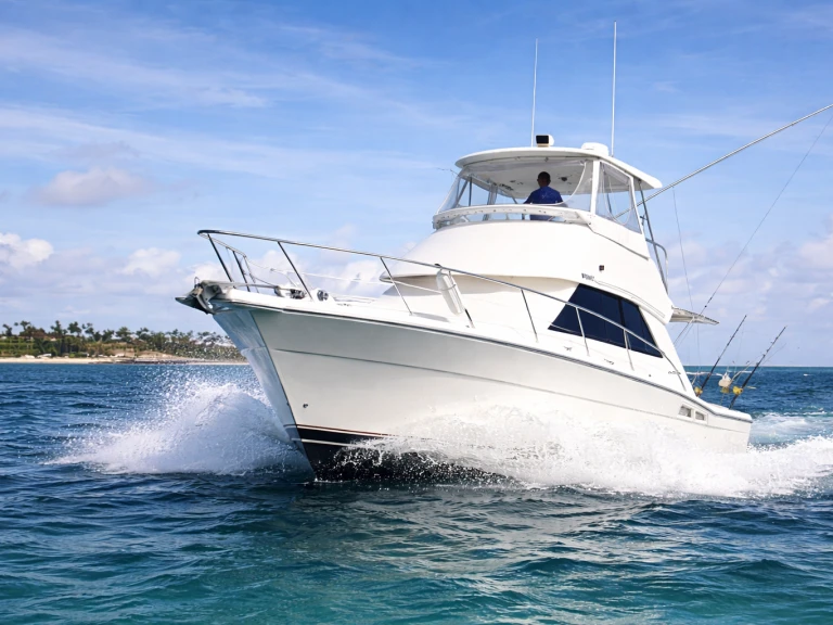 Hire Motorboat with or without skipper Custom Made Bávaro
