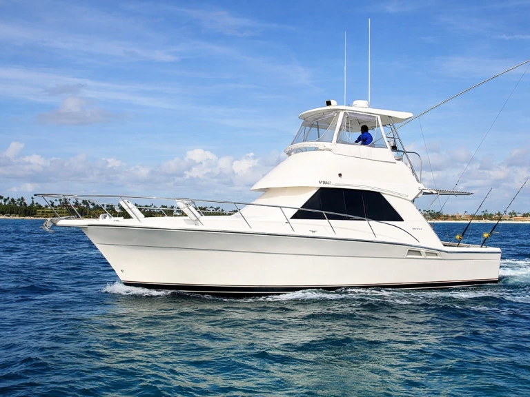 Charter a Custom Made custom in Bávaro on Samboat