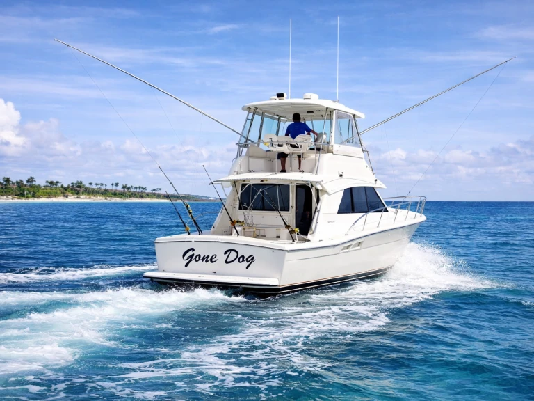 Motorboat to hire Bávaro at the best price