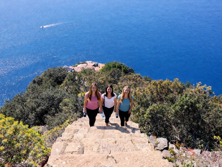 Hire Motorboat Boston Whaler with a boat licence