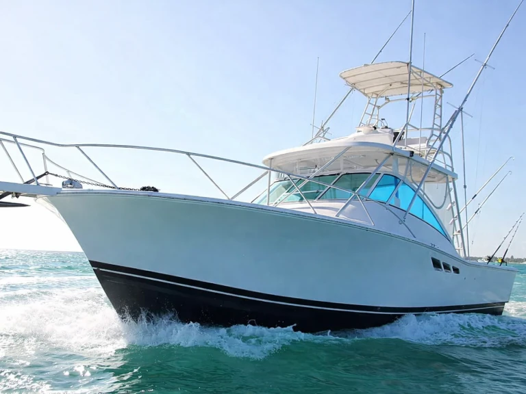 Hire Motorboat Custom Made with a boat licence