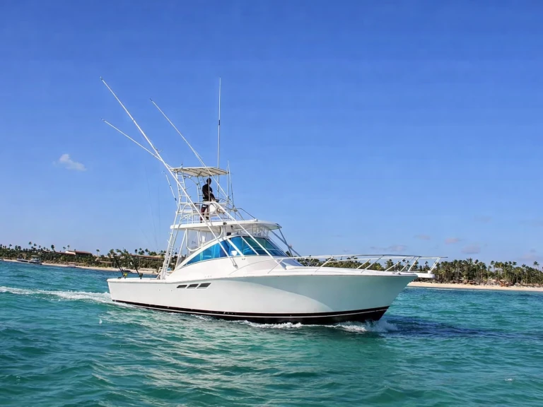 Motorboat to hire Bávaro at the best price