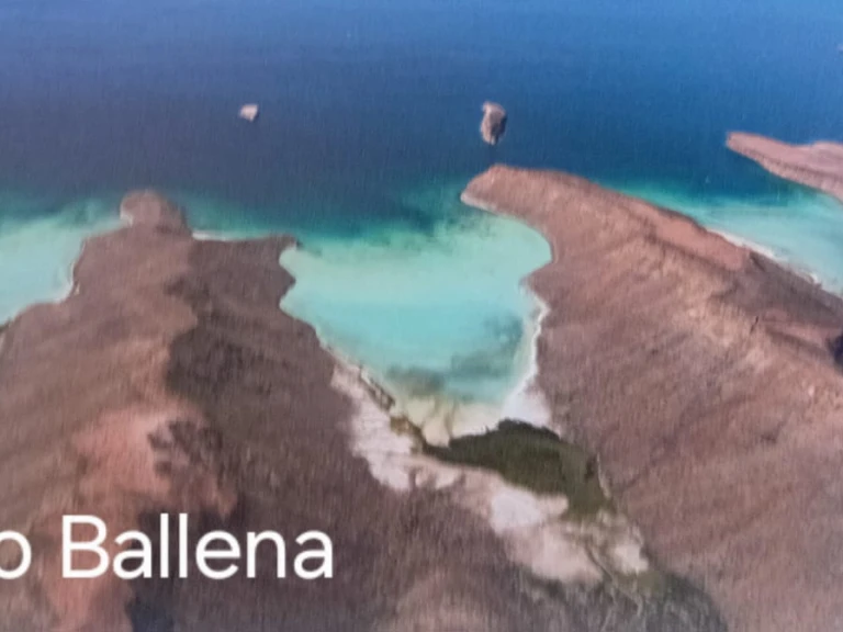 Yacht charter La Paz - Alubat Ovni 43 on SamBoat