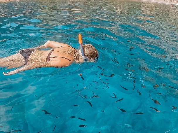 Okiboats Barracuda 545 Open charter bareboat or skippered in  Club Nàutic Ca'n Picafort