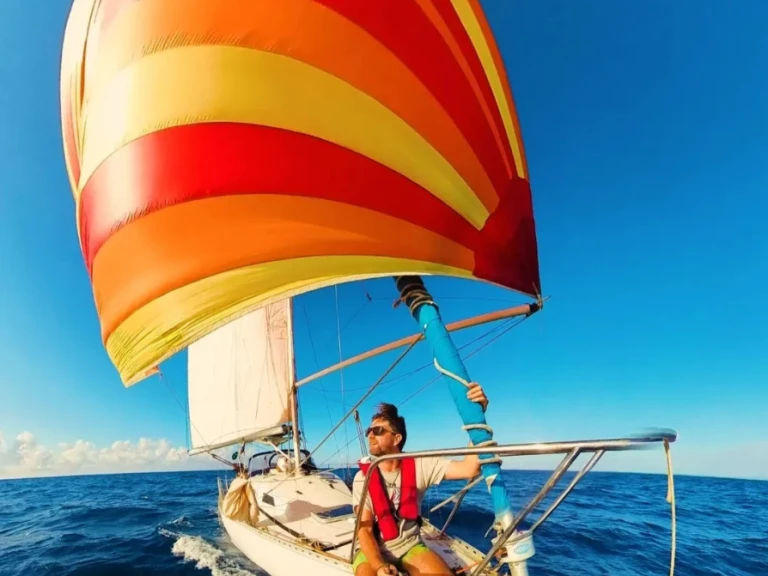 Charter a Custom Made Peterson 34  in Le Marin on Samboat