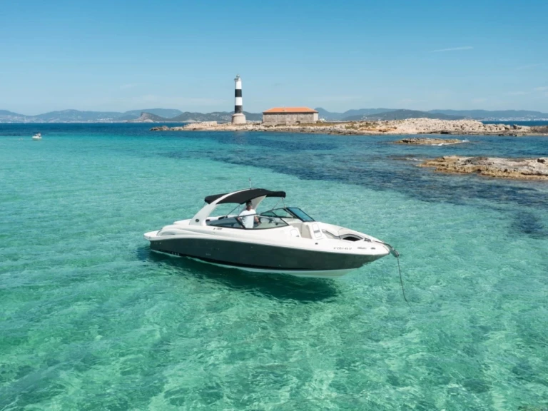 Hire Motorboat Sea Ray with a boat licence