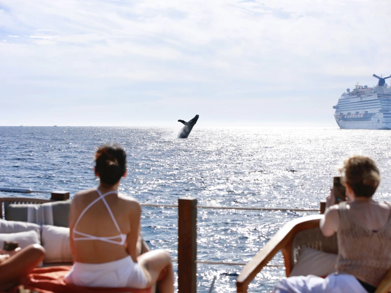 Charter a Custom Made 36 in Cabo San Lucas on Samboat