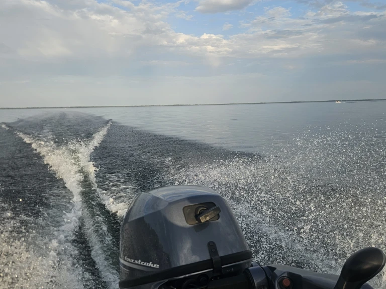 Hire Motorboat Boston Whaler with a boat licence