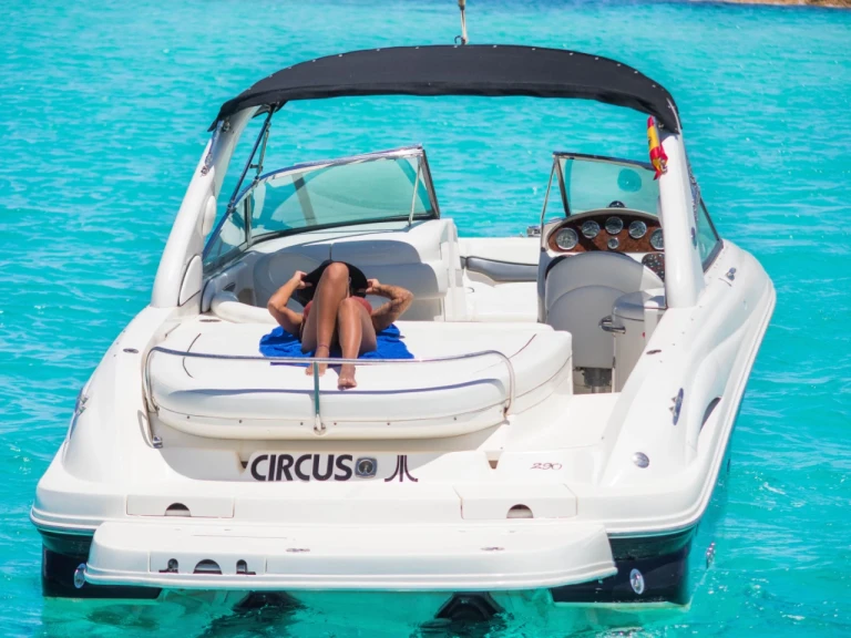 Hire Motorboat Sea Ray with a boat licence