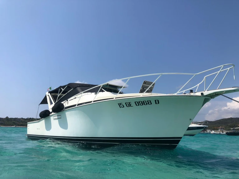 Bertram 38 Special charter bareboat or skippered in  Punta Ala