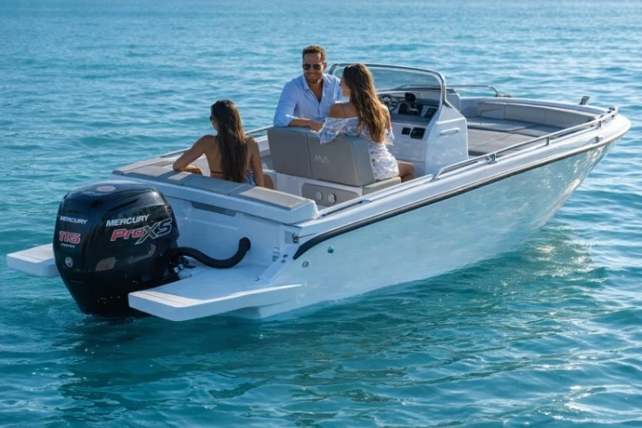 Motorboat to hire Port d'Addaia (Port) at the best price