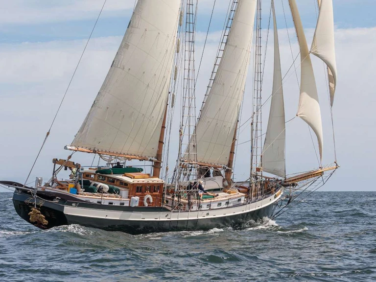 Yacht hire Newport cheap TREE OF LIFE