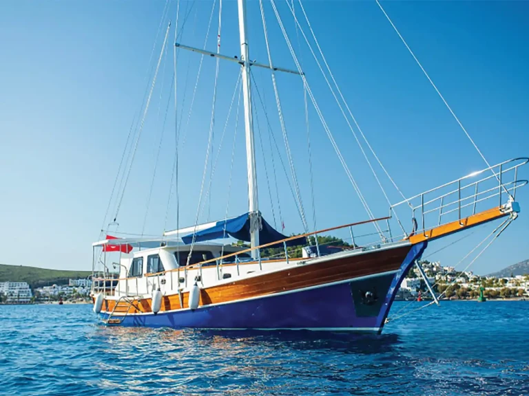 Custom Made charter bareboat or skippered in  Bodrum
