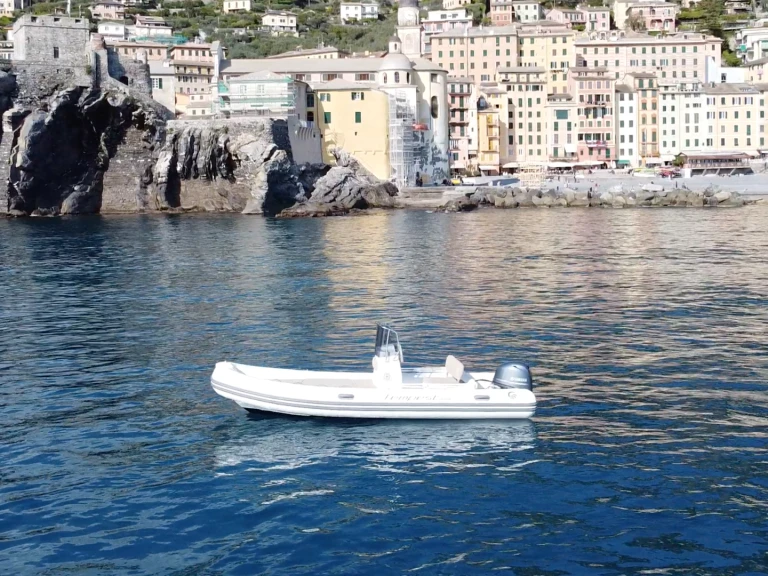 Motorboat hire in Camogli - Capelli Tempest 530