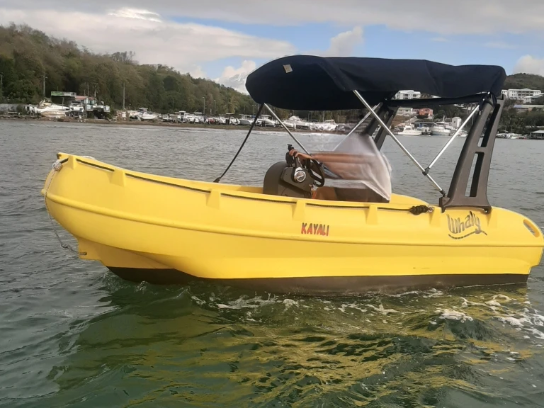 Motorboat to hire Le François at the best price