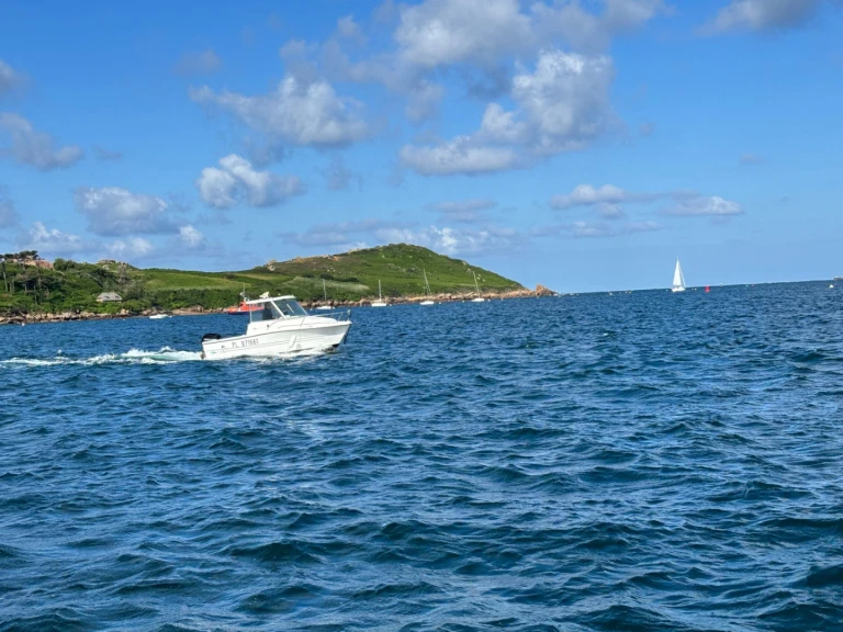 Yacht charter Trébeurden - Sessa Marine SESSA 550 on SamBoat