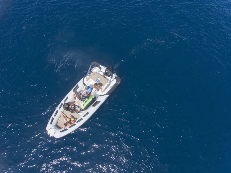 Charter a Quicksilver Quicksilver 555 Activ Open in Campomoro on Samboat