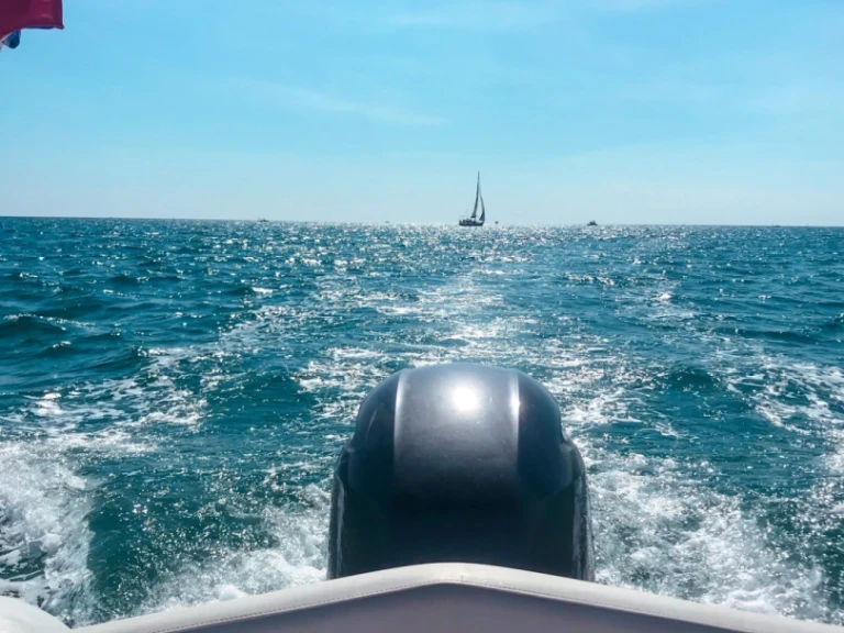 Yacht hire Saint-Cyprien-Plage cheap TEMPEST 630 S