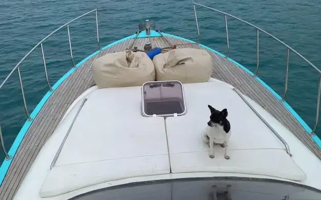 Custom Made charter bareboat or skippered in  Antalya (City)