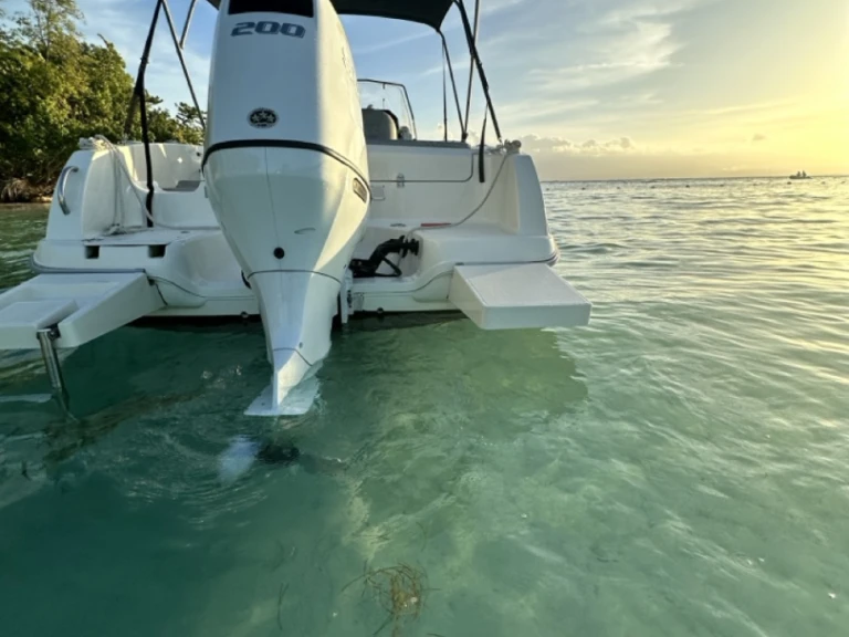 Motorboat hire in Le Gosier - Pacific Craft Pacific Craft 670 Open