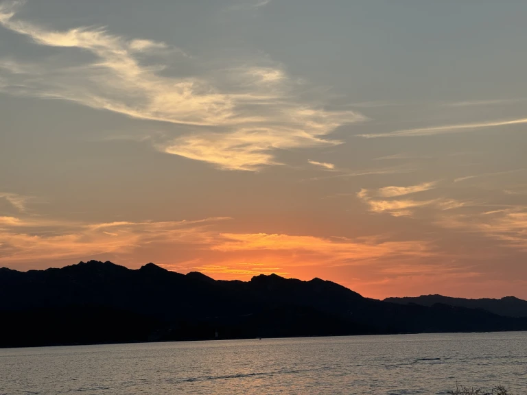 Charter a Capelli Tempest 775 Open in Saint-Florent on Samboat