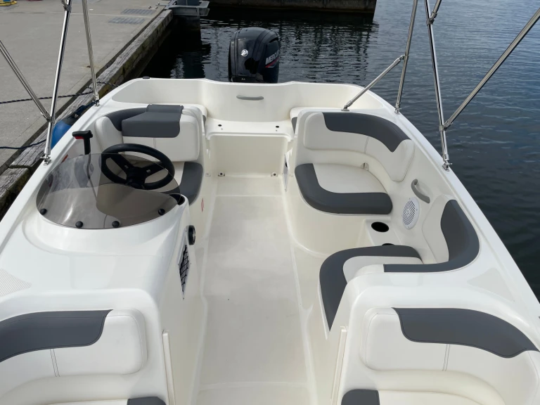 Hire Motorboat Bayliner with a boat licence