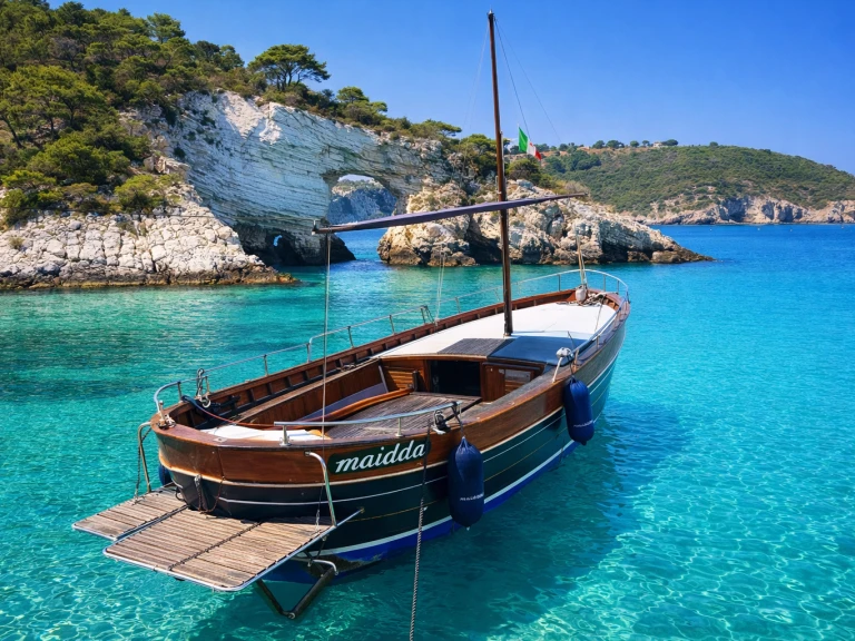 Charter a Di Pinto Sermoneta 29' in Vieste on Samboat