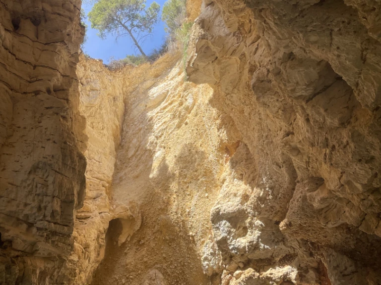 Yacht hire Vieste cheap Sermoneta 29'