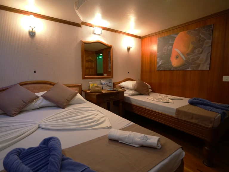 Yacht hire Hulhumale cheap Conte Max - Cabin (triple-1 double bed + 1 single bed)