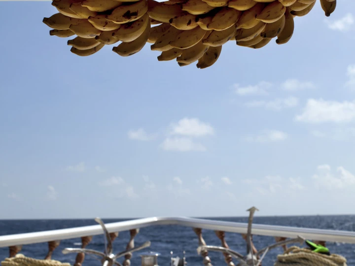 Hire Motorboat with or without skipper  Hulhumale