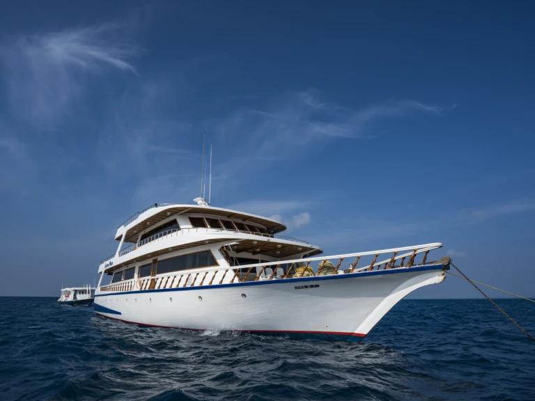 Charter a  Conte Max - Cabin (triple-1 double bed + 1 single bed) in Hulhumale on Samboat