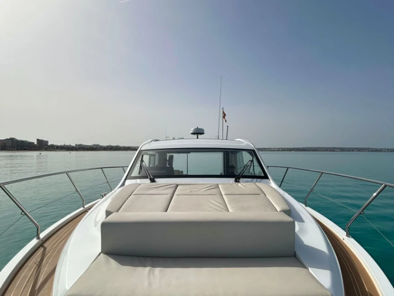 Charter a Sealine Sealine C 39 in Palma de Mallorca on Samboat