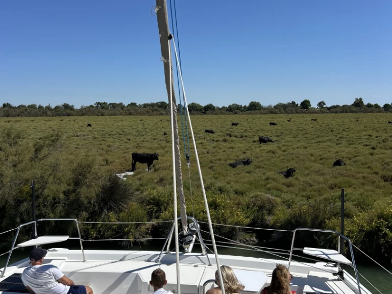 Bali Bali Catspace Voile charter bareboat or skippered in  Le Grau-du-Roi