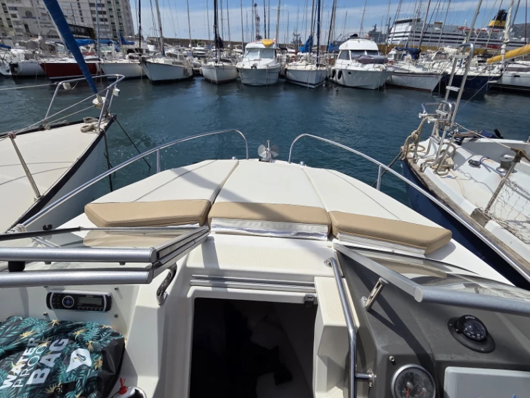 Charter a Bayliner Bayliner 642 Cuddy in Toulon on Samboat