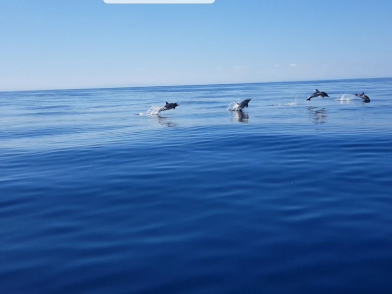 Yacht charter Anglet - Jeanneau Merry Fisher 925 Fly on SamBoat
