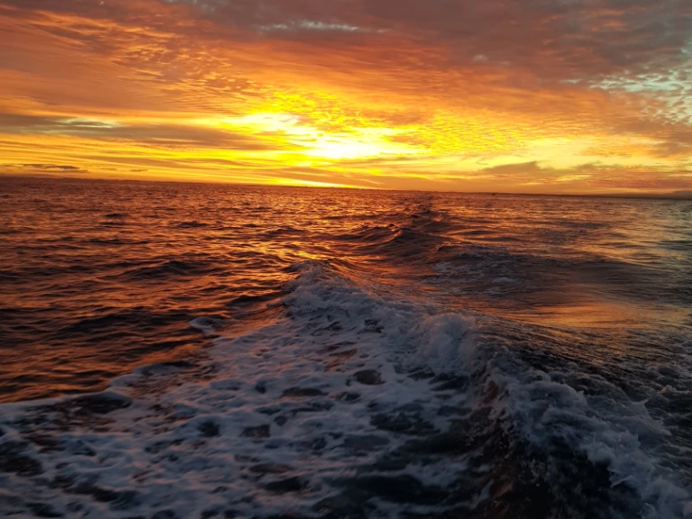 Hire a Jeanneau Merry Fisher 925 Fly Anglet