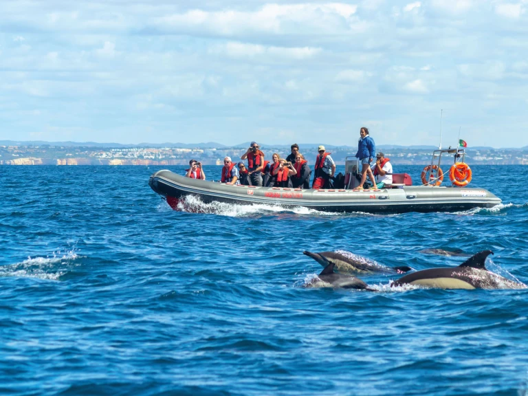 RIB to hire Lagos at the best price