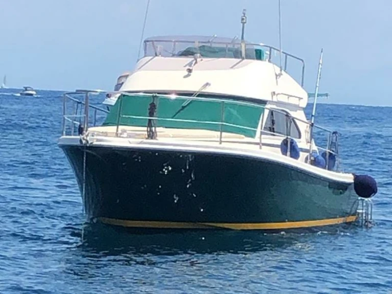 Charter a Cayman 30 Fly Fisherman in Naples on Samboat