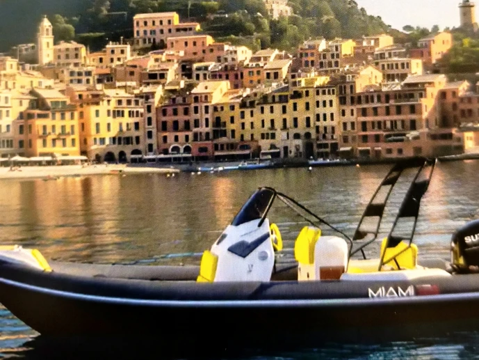 Hire a bluerib Miami23 Chiavari