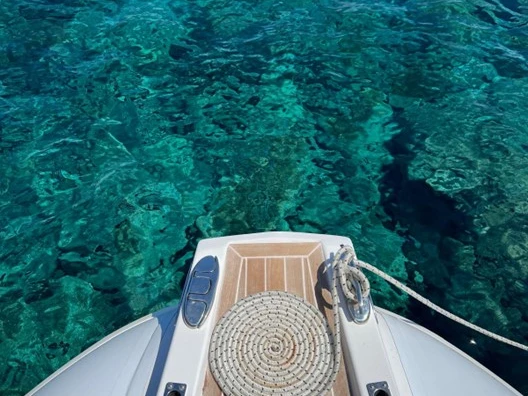 RIB hire in Naples - Italiamarine Salina 33